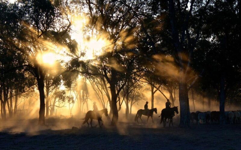 pokhara-horseback-adventure