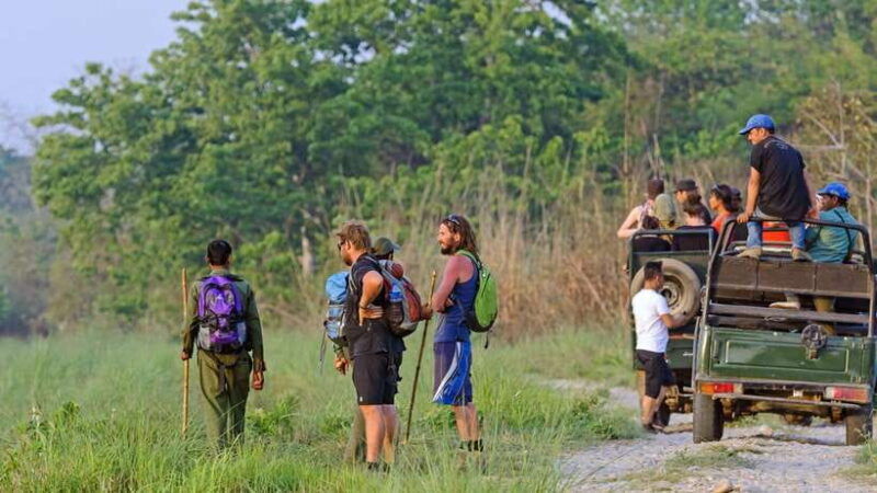 pokhara-or-kathmandu-3-day-chitwan-jungle-safari-tour