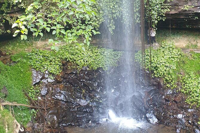 Port Macquarie Day Tour to Water Falls and Lookouts - Who Should Consider This Tour?