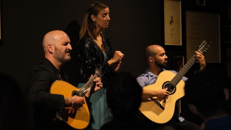 porto-intimate-fado-concert-ticket-with-a-glass-of-wine