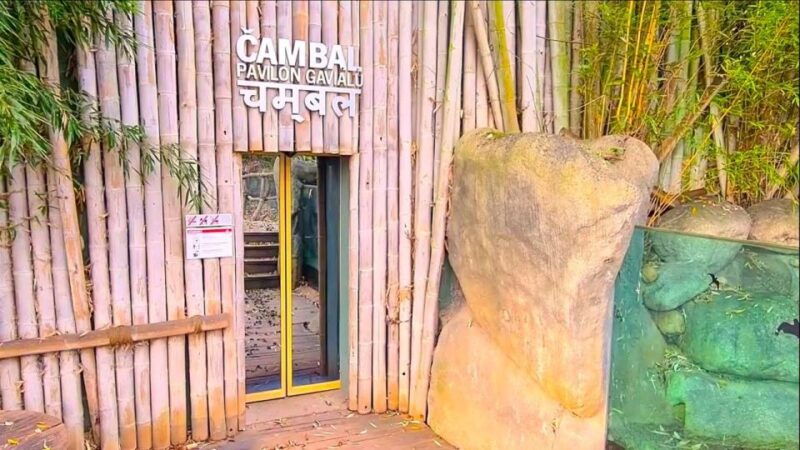 prague-prague-zoo-audio-guide-with-e-ticket