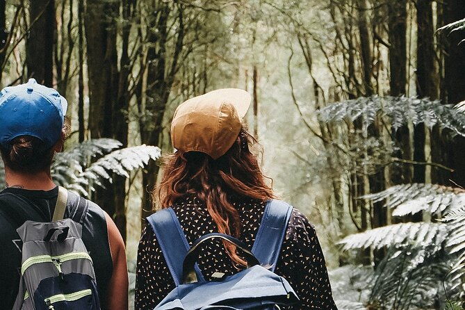 Private 12 Apostles, Otways & Great Ocean Road Hiking Tour from Melbourne - Who Would Enjoy This Tour?