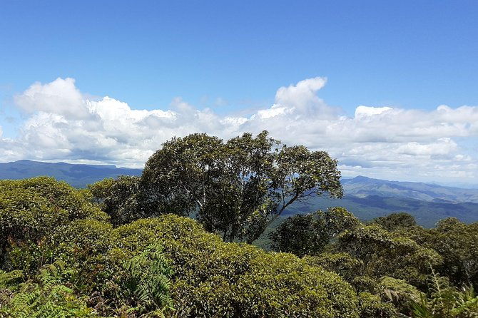 Private 2 days 1 Night Adventurous Hike - The Sum Up