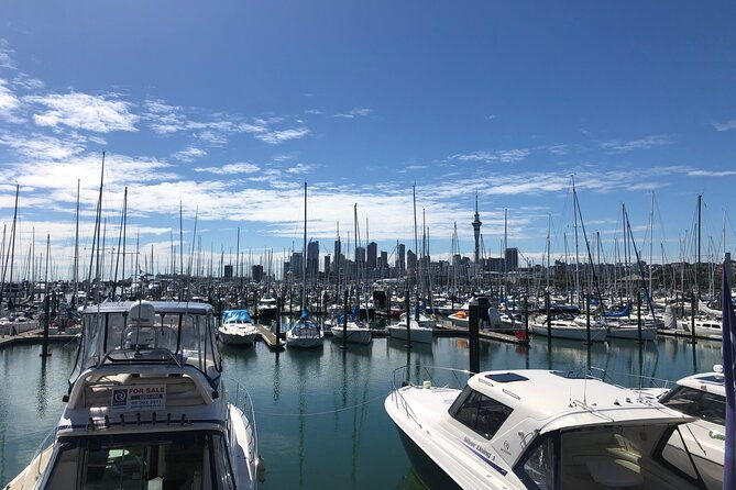 Private Auckland Half Day Tour - Final Thoughts: Is It Worth It?