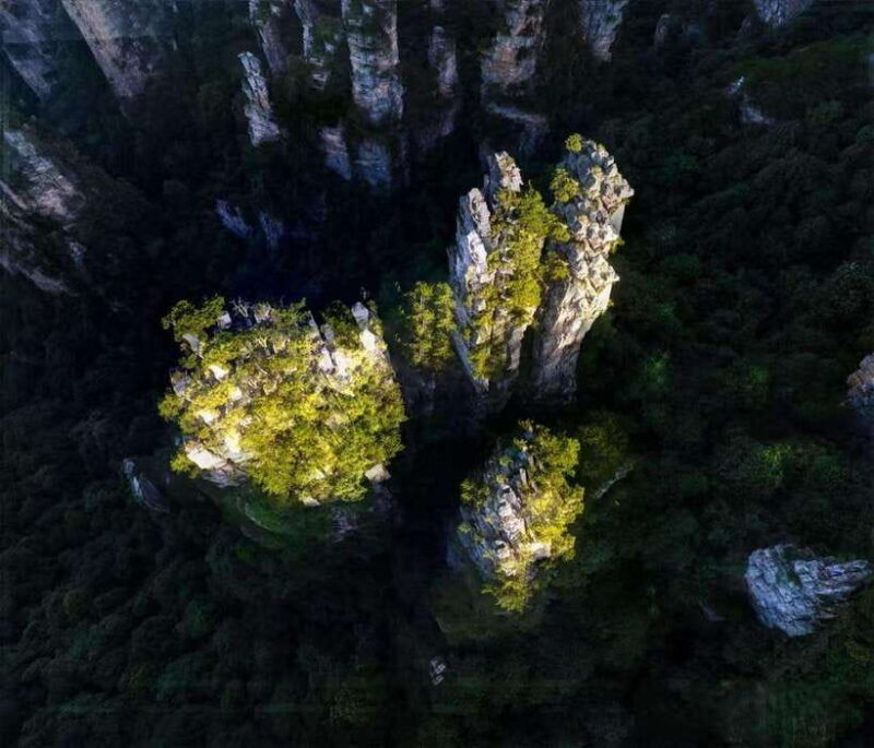 private-avatar-vip-zhangjiajie-national-forest-park-day-tour