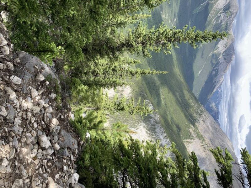 private-bear-country-hiking-tour-4h-adventure
