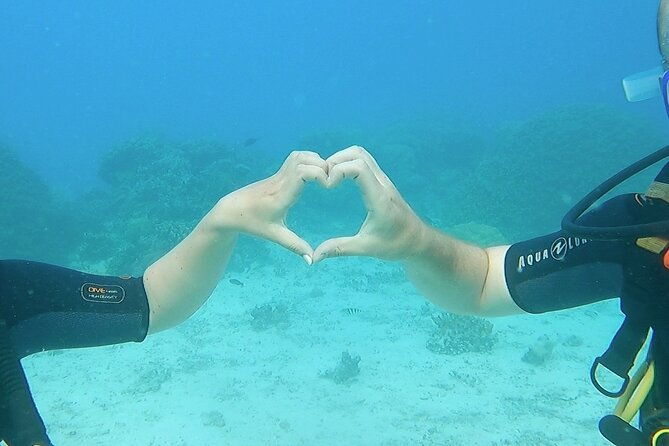 Private Boat for 1 afternoon Dive (beginners or certified divers) - FAQ