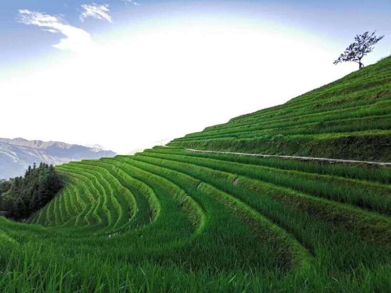 private-custom-tour-2-day-longji-rice-terraces-private-tour