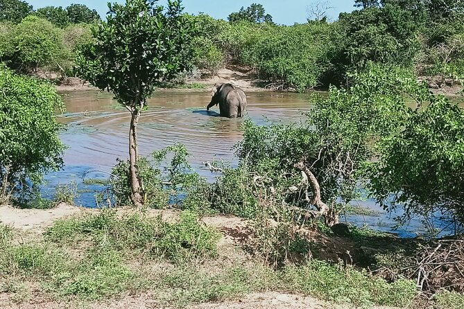 Private Day Tour in Yala National Park with Lunch - Final Thoughts