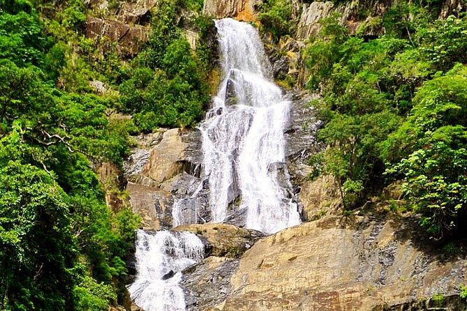 Private Half Day Tour: World Heritage Rainforest & Waterfall - Who Will Love This Tour?