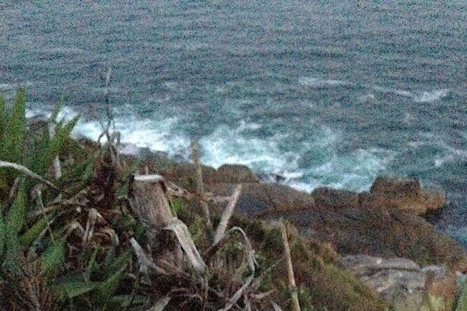 Private Insular Peninsula Tour in Kombi Hippie Van - The Sum Up