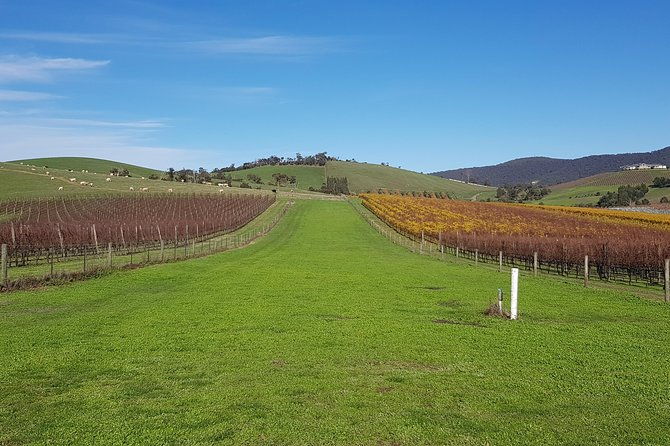 Private, Luxury and Tailored Yarra Valley Wine Tour - FAQ