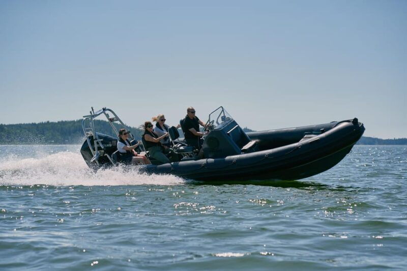 private-morning-boat-tour-to-the-airisto