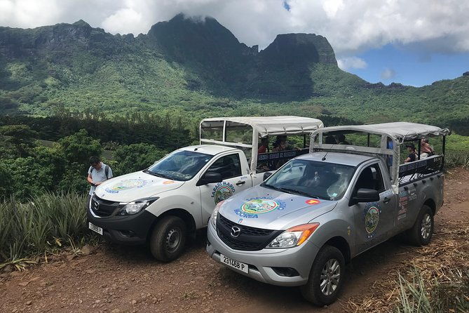 Private Morning Moorea 4WD Tour with Champagne - Transportation & Group Size