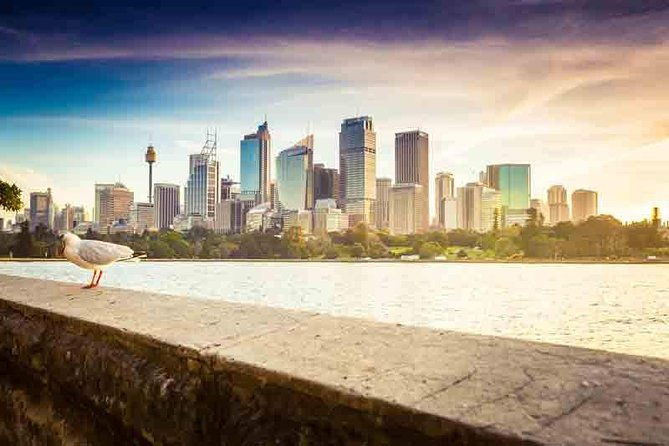 Private Sydney City and Bondi Beach Half Day Tour - Who Should Book This Tour?