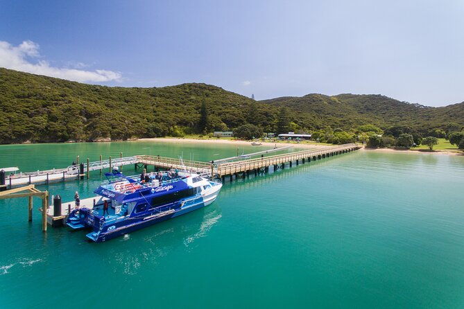 Private Tour [4 Days]: Hokianga, Tane Mahuta & Bay of Islands - FAQs