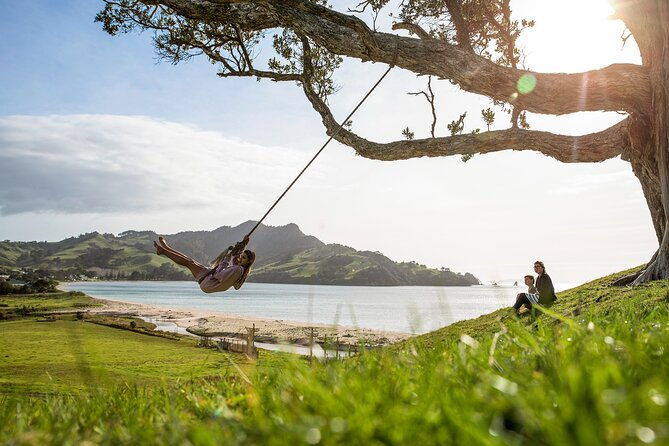 Private Tour - Coromandel Beach, Caves & Forest - The Sum Up