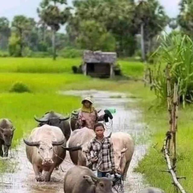 private-tour-through-battambang-local-area-and-landmark