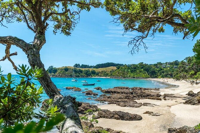 Private Tour - Waiheke Island Luxury Experience - Who Should Consider This Tour?