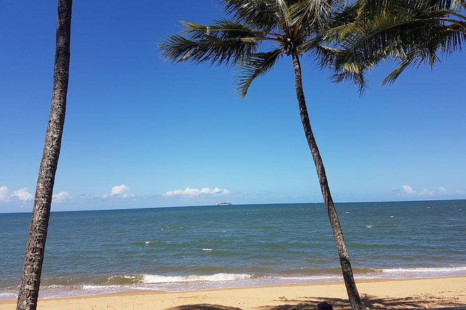 Private Transfers - Cairns Airport to Palm Cove - The Sum Up: Is This Transfer Right for You?
