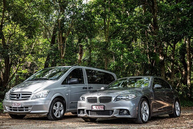 Private Transfers Cairns Airport to Port Douglas - Authentic Feedback from Travelers