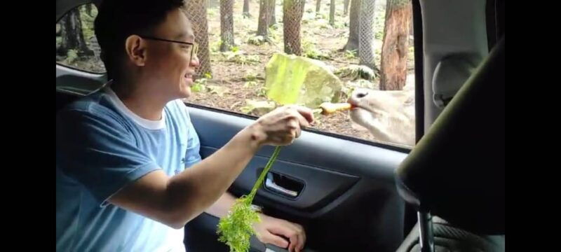 private-trip-safari-park-from-surabaya-malang-all-inclusive