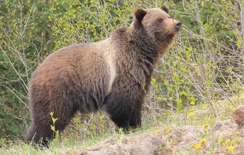 private-wilderness-and-wildlife-walking-tour-2-5h
