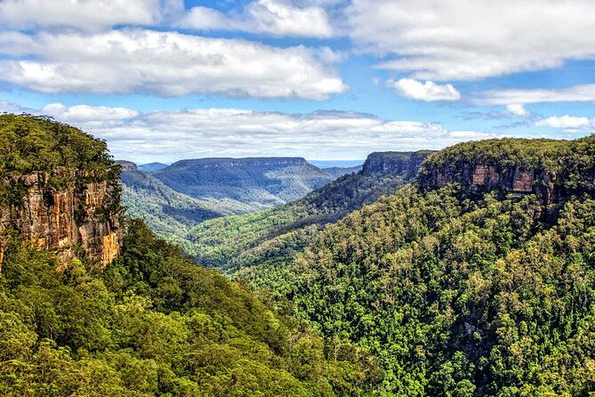 Private Wildlife Waterfalls and Wine Day Tour from Sydney - Who Is This Tour Best For?