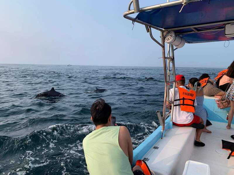 puerto-escondido-boat-tour-to-see-dolphins-and-marine-life