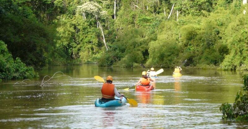 puerto-maldonado-kayak-and-zip-line-adventure-monkey-isla