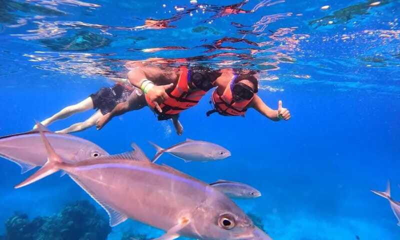puerto-morelos-guided-snorkeling-tour-with-gear-fees