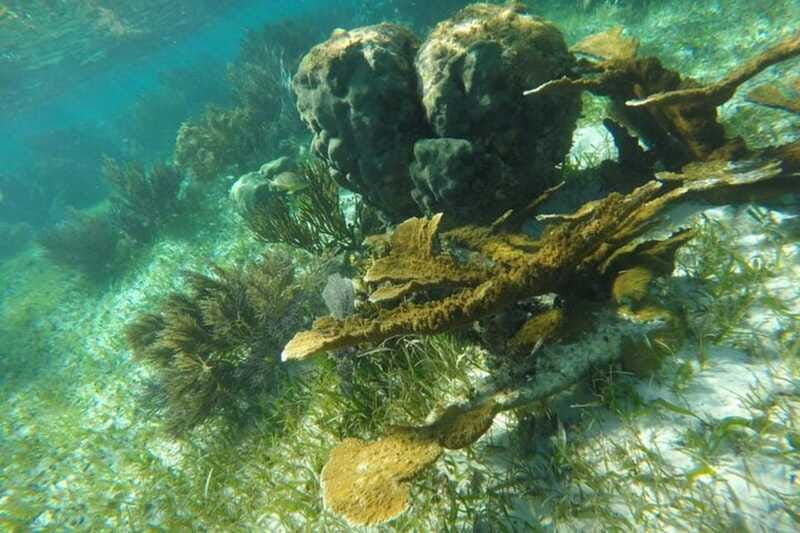 puerto-morelos-snorkeling-guided-activity