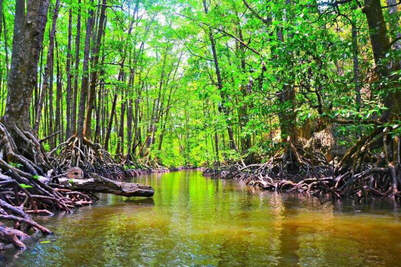 puerto-princesa-underground-river-zipline-paddleboat-tour