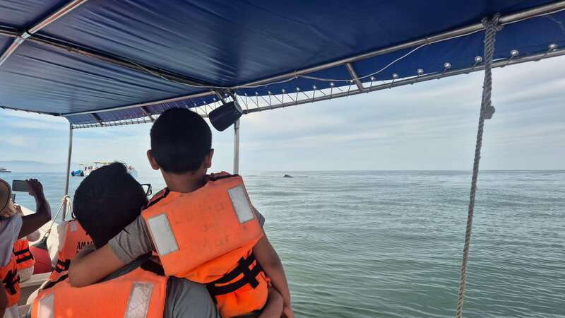 puerto-vallarta-3-hour-whale-watching-and-snorkeling