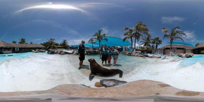 puerto-vallarta-sea-lion-discovery