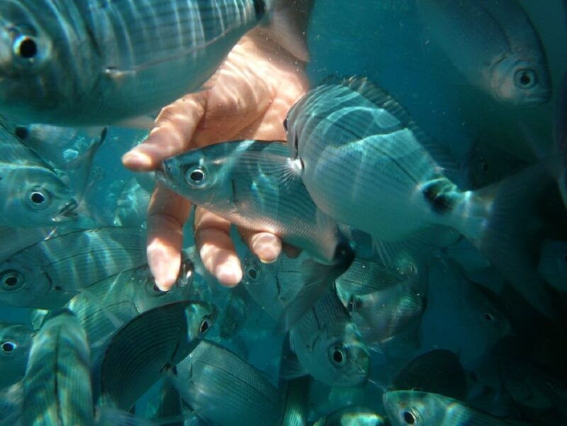 pula-bike-tour-of-ancient-pula-aquatic-adventures