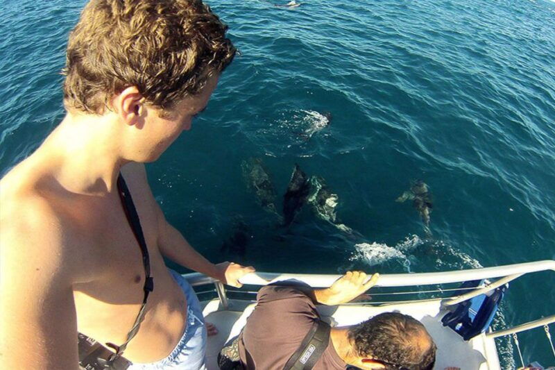 pula-national-park-brijuni-dolphin-cruise-with-dinner