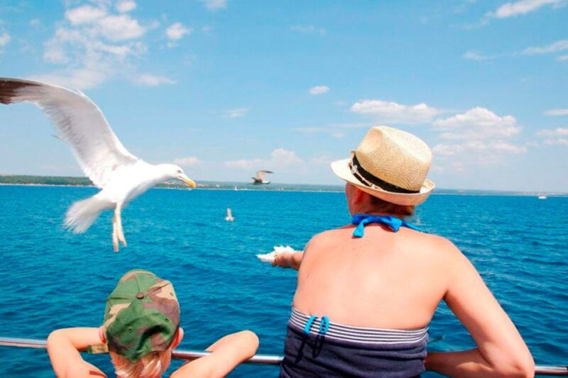 pula-national-park-brijuni-island-visit-dolphin-cruise