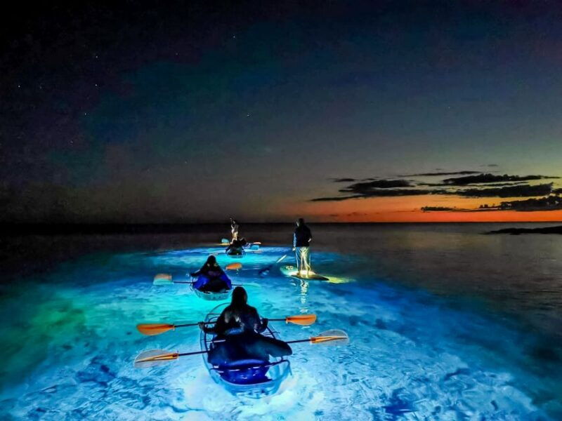 pula-night-time-sea-kayaking-tour-in-transparent-kayak