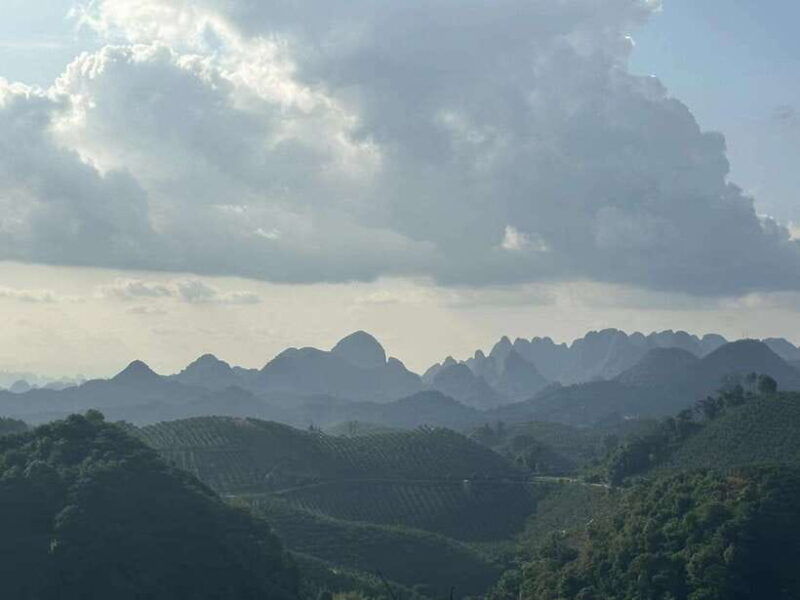 qixianfeng-tea-plantation-tour-in-yangshuo