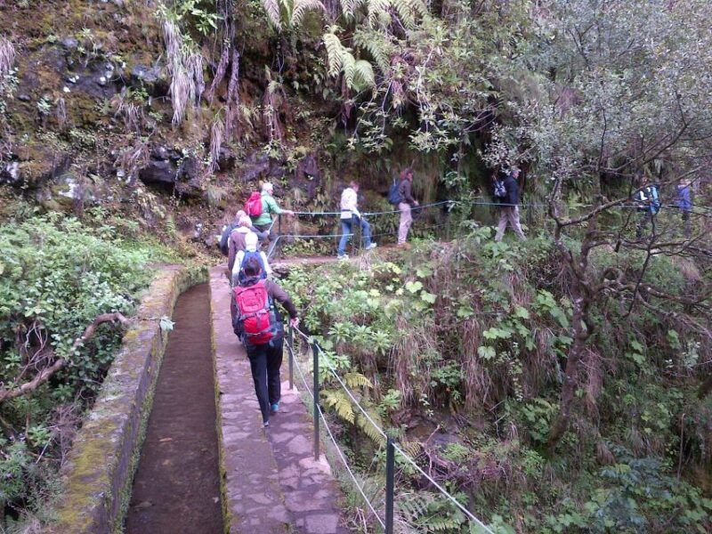 queimadas-natural-park-5-hour-guided-hike