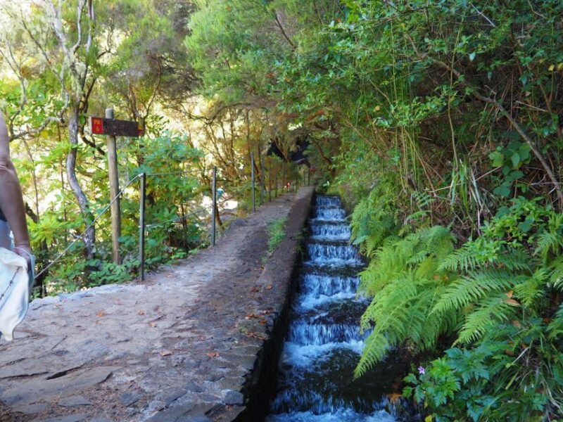 rabacal-25-fontes-risco-levada-transfer-self-guided-hike