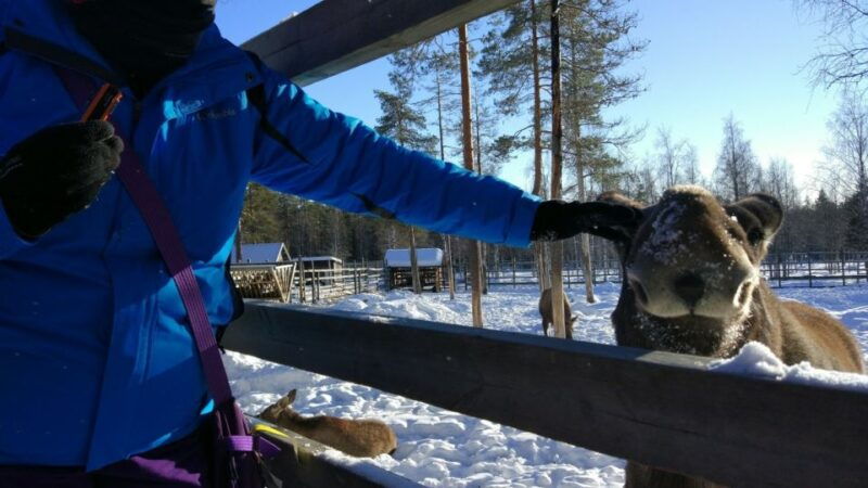 ranua-wildlife-park-guided-tour-from-rovaniemi