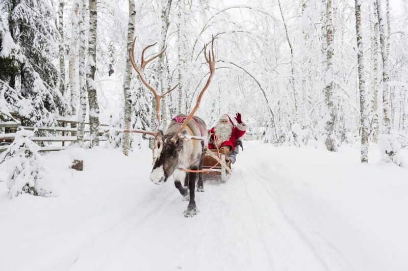 reindeer-farm-visit-with-sleigh-ride