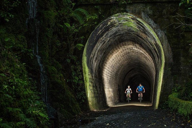 Remutaka Rail Trail Explorer - eBike Cruise Ship Shore Excursion - Final Thoughts: Who Will Appreciate This Experience?
