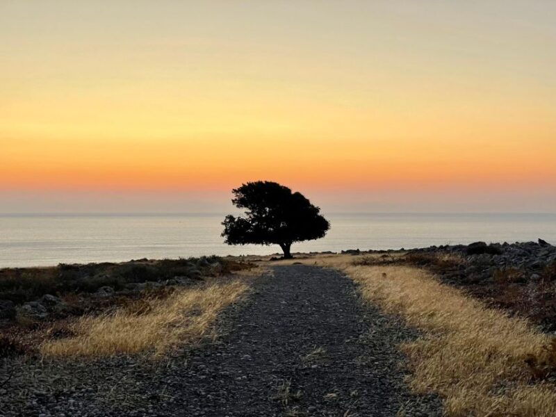 rhodes-pefkos-navarone-bay-the-magic-of-sunrise
