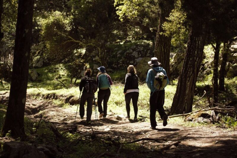 rhodes-profitis-ilias-guided-sunset-hike
