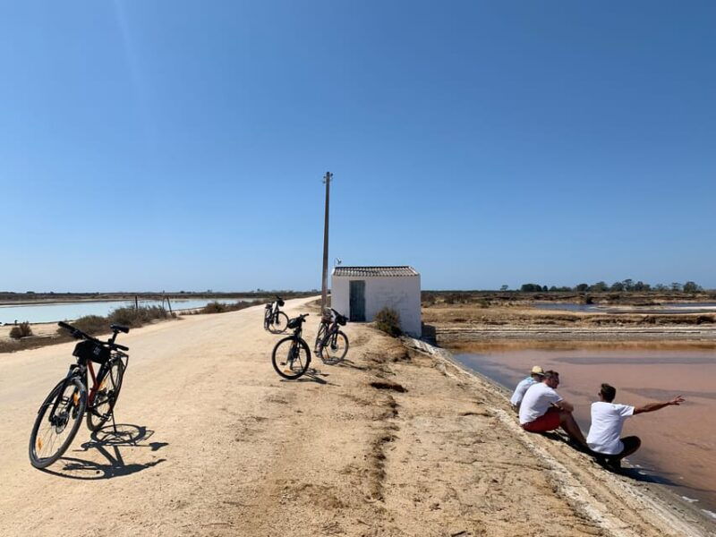 ria-formosa-guided-bike-tour-3h-starting-at-quinta-do-lago