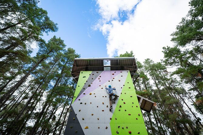 Rock Climb and Ropes Shared Experience - Why This Tour Is Worth Considering