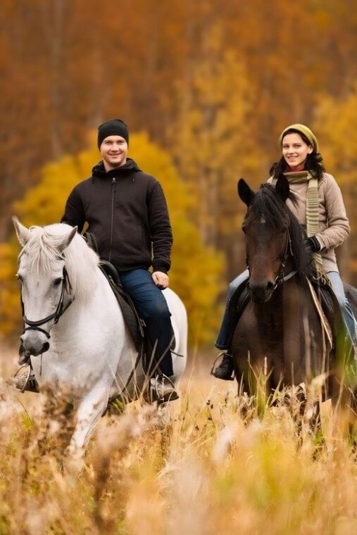 rovaniemi-horse-riding-in-arctic-wilderness